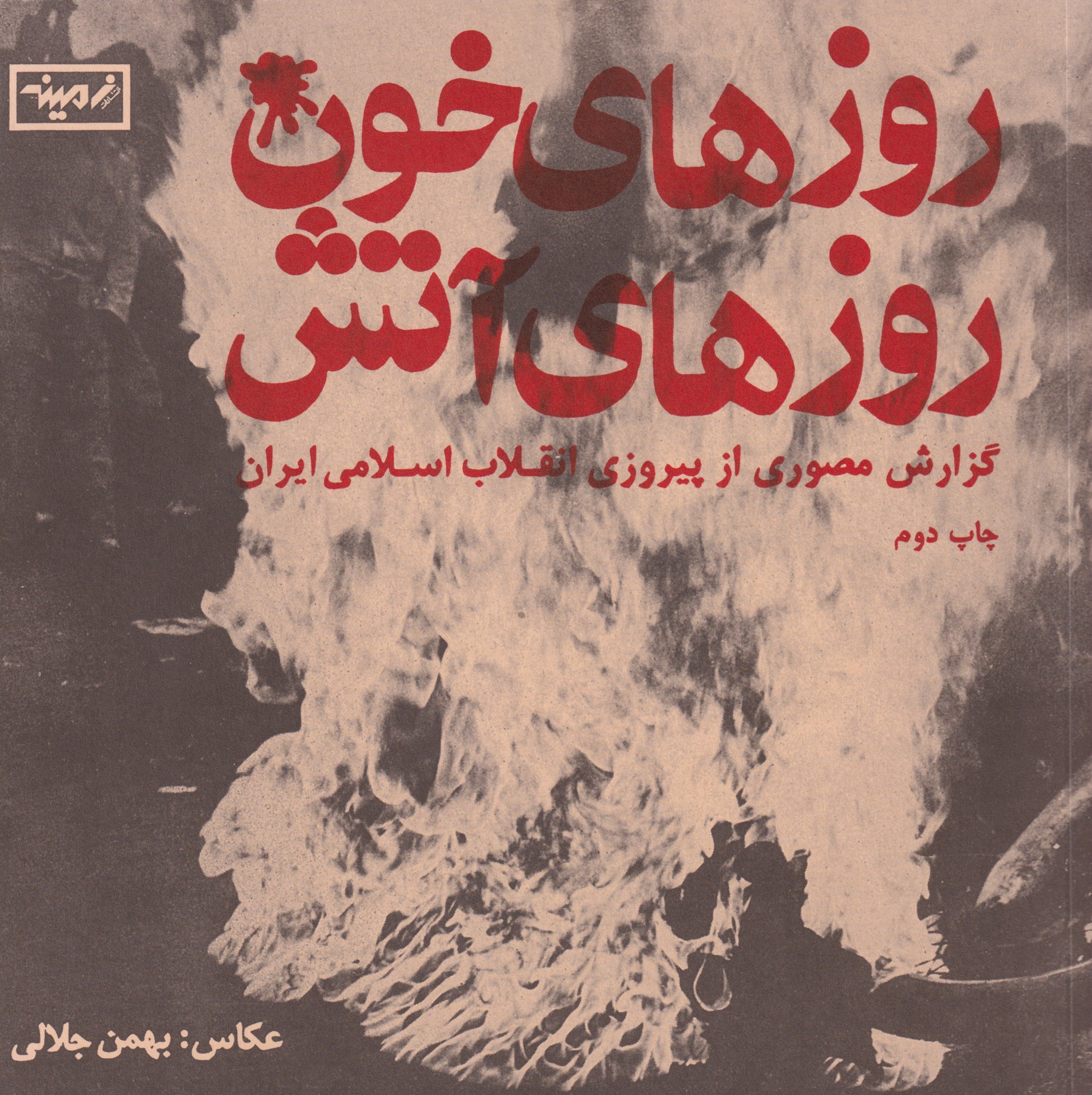 Days of Blood, Days of Fire (Reprint)