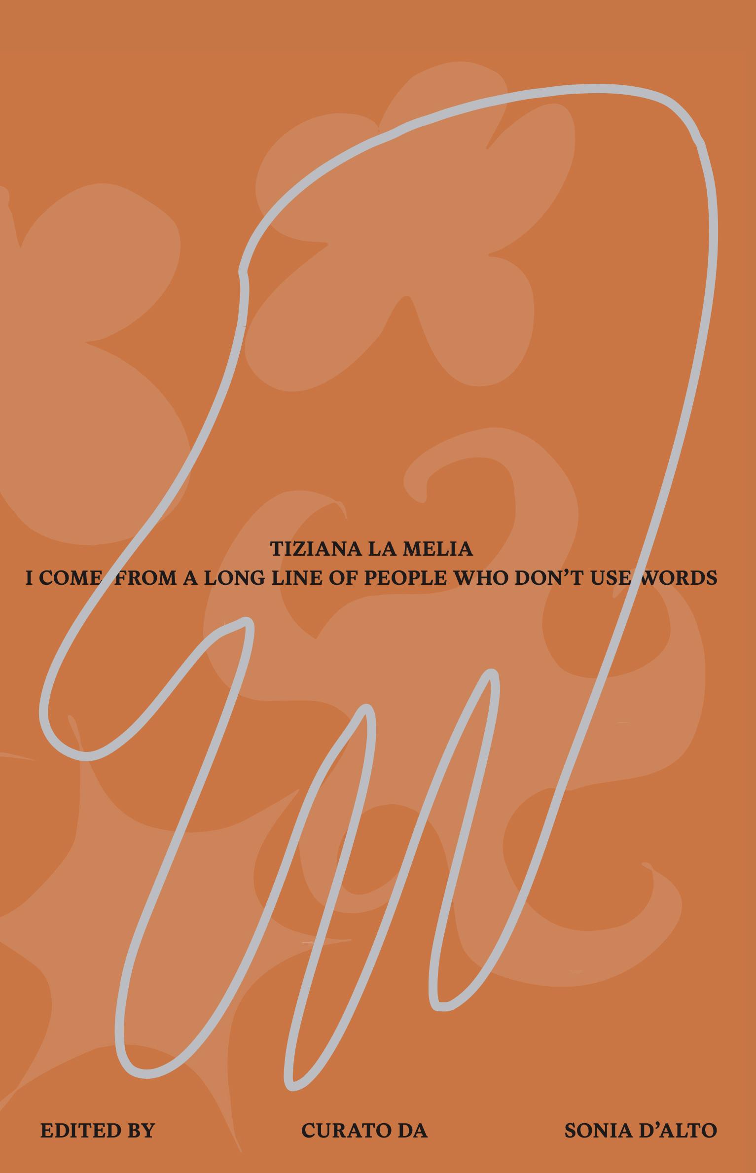 I Come from a Long Line of People Who Don't Use Words