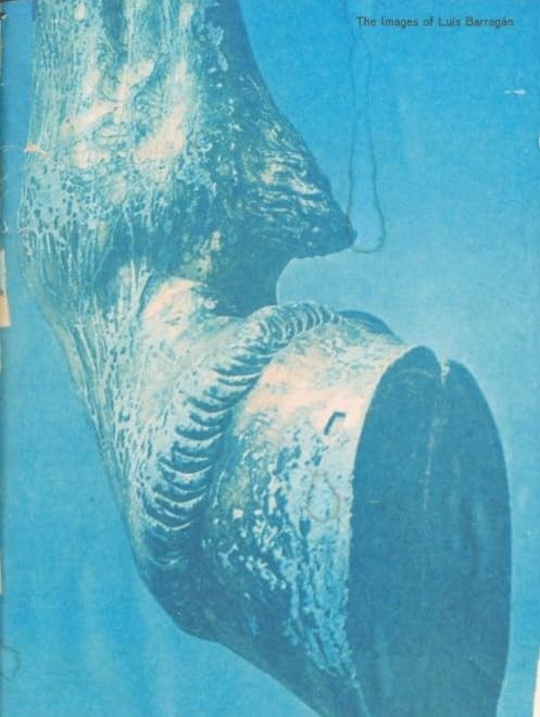 The Images of Luis Barragan