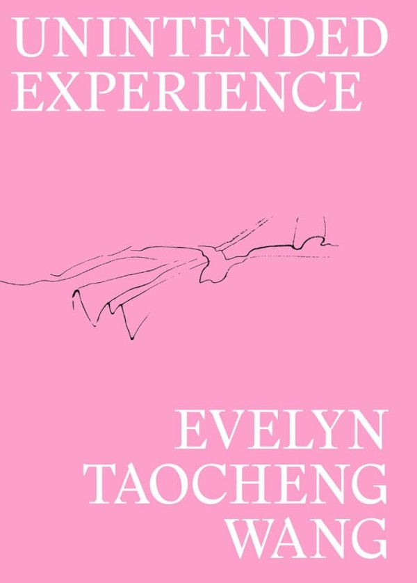 Unintended Experience. A Job in Amsterdam (reprint)